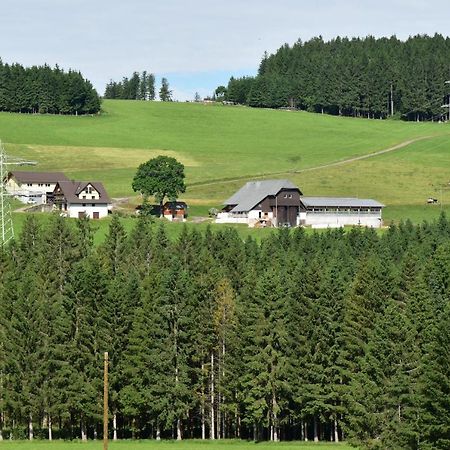 Duerrenbartleshof Leilighet Breitnau Eksteriør bilde